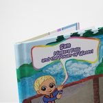 niagara fall book