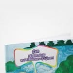 niagara fall book